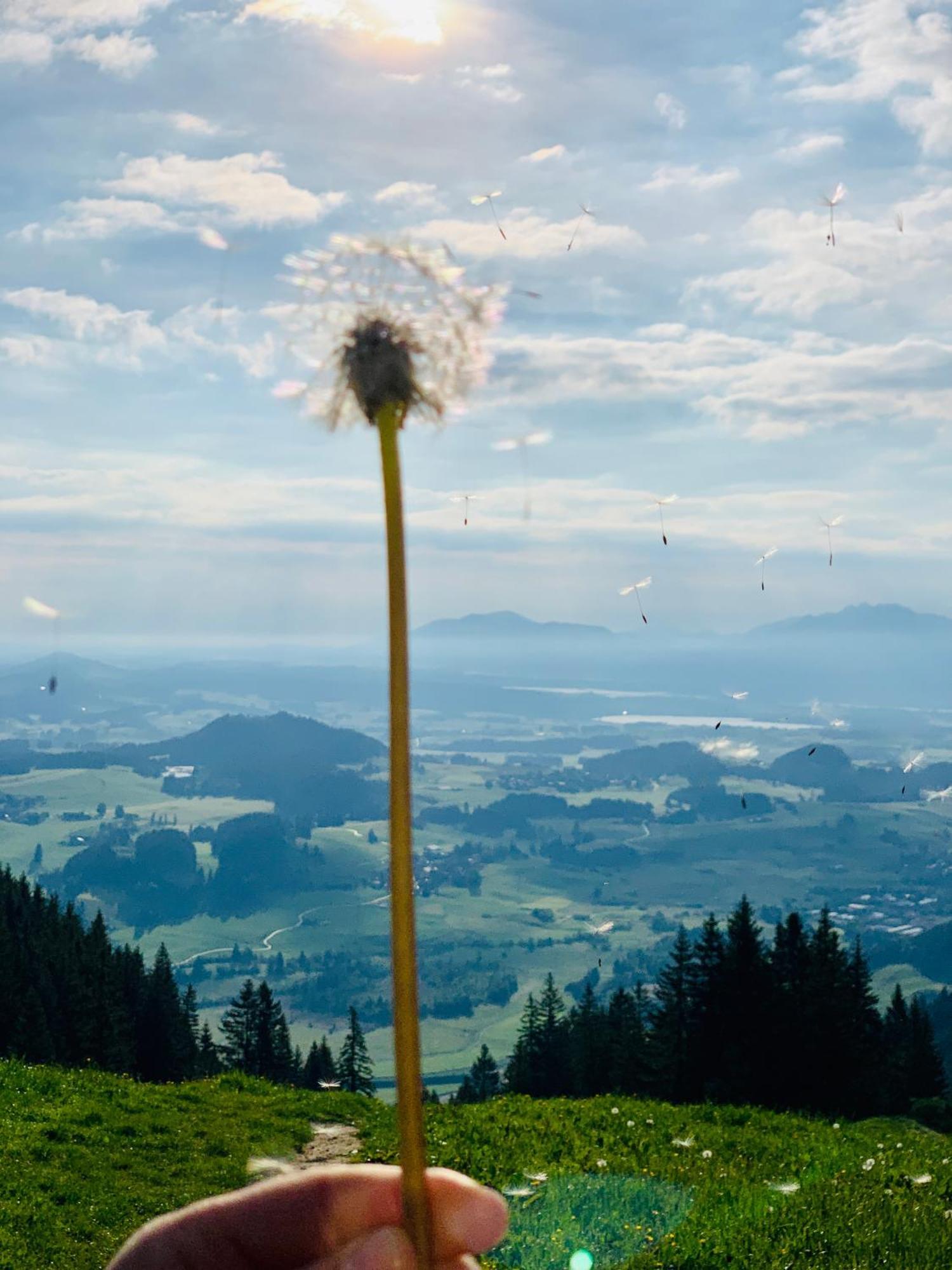 Ferienhaus Sommer Pfronten Dış mekan fotoğraf