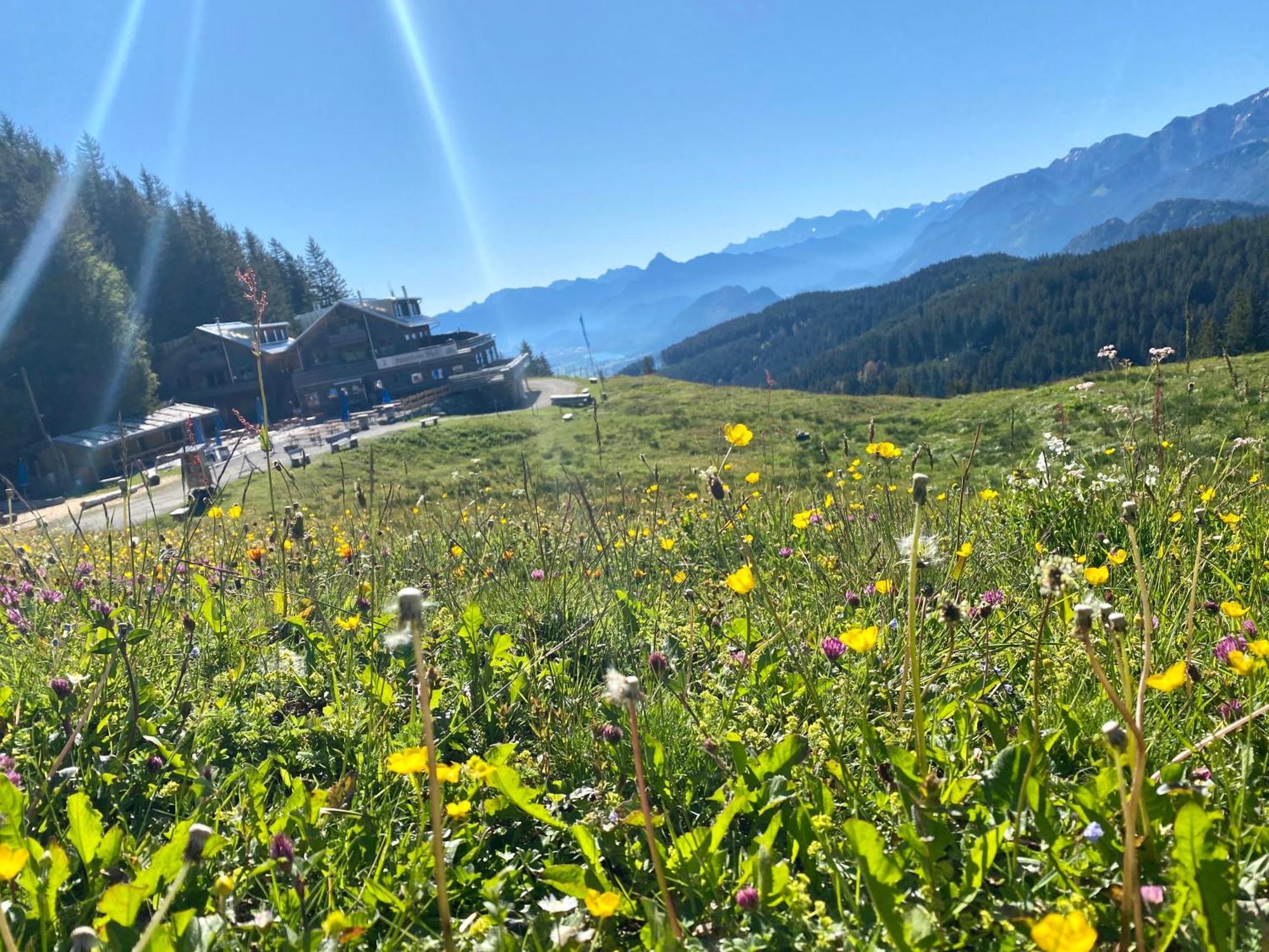 Ferienhaus Sommer Pfronten Dış mekan fotoğraf
